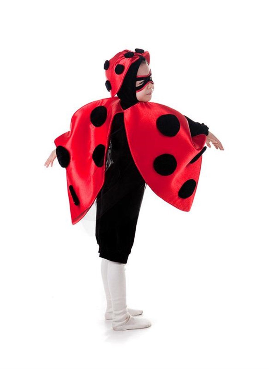 Uğur Böceği Çocuk Kostümü H-39