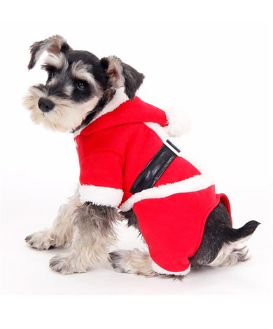 Noel Baba Köpek Kostümü