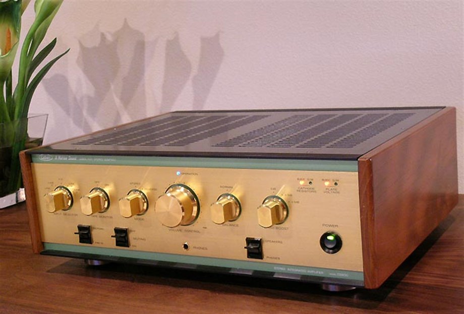 LEBEN CS 600 X  Lambalı Entegre Amplifikatör