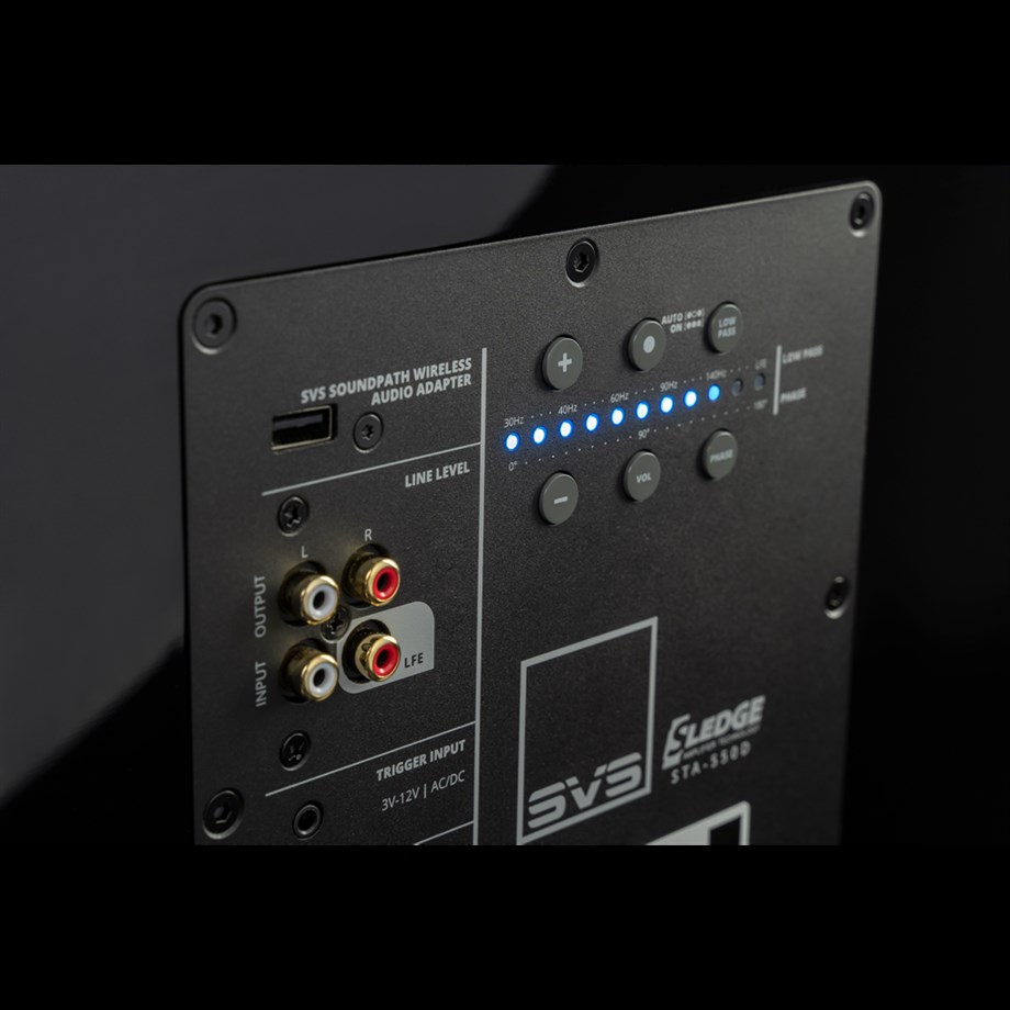 SVS SOUND PB 2000 PRO BLACK ASH Subwoofer