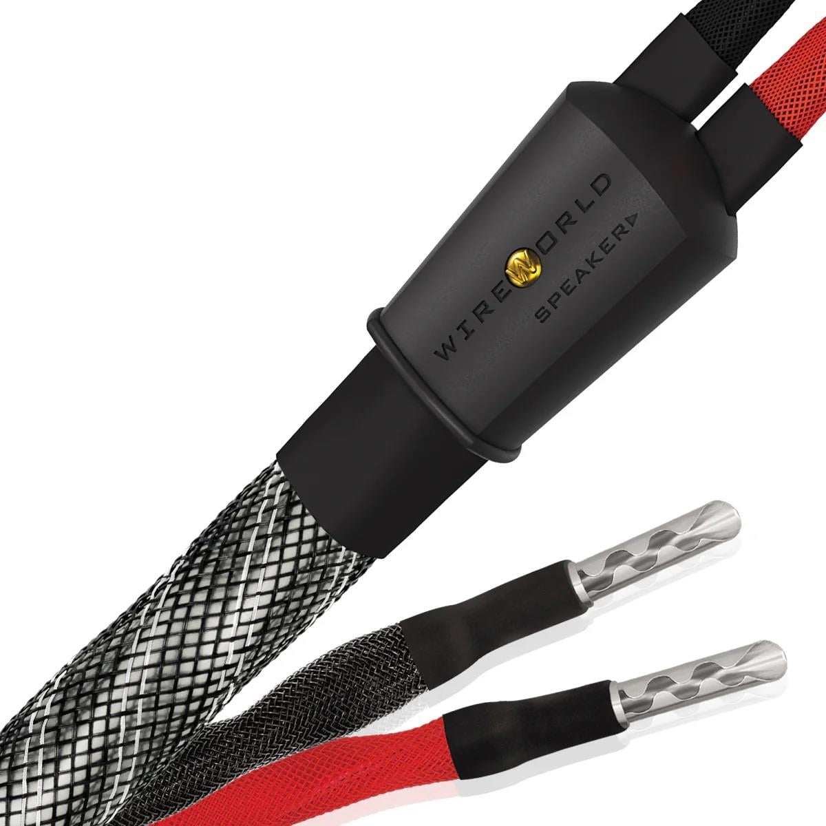 WIREWORLD PLATINUM ECLİPSE 10 Hoparlör Kablosu 