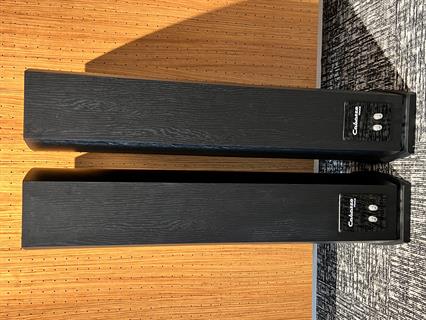 Cabasse Jersey MC 170 Kule Hoparlör