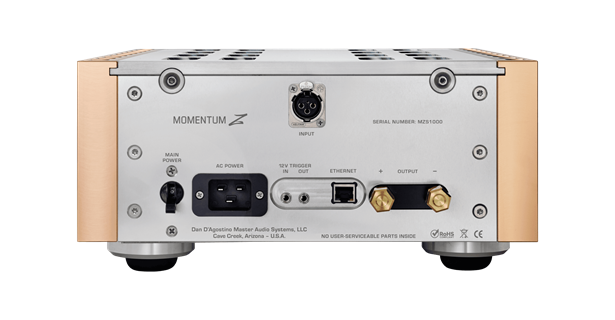 DAN DAGOSTINO Momentum Z  Mono Power Amplifikatörü