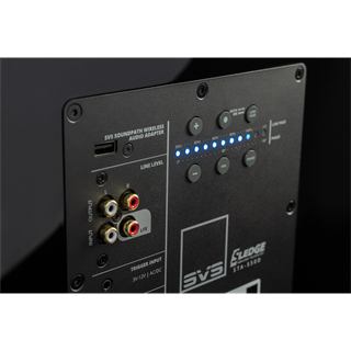 SVS SOUND PB 2000 PRO BLACK ASH Subwoofer