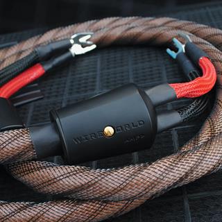 WIREWORLD  ECLİPSE 10 Hoparlör Kablosu 