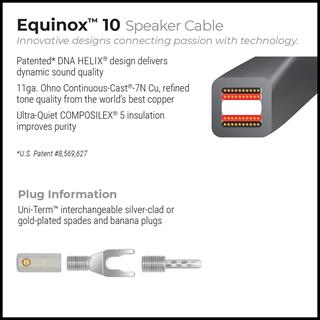 WIREWORLD  EQUINOX 10 Hoparlör Kablosu 