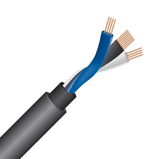 WIREWORLD EQUINOX 10 BIWIRE Jumper  Kablo