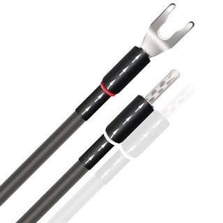 WIREWORLD EQUINOX 10 BIWIRE Jumper  Kablo