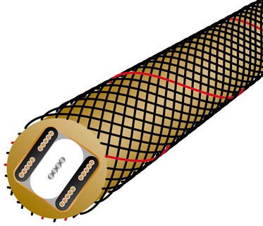 WIREWORLD GOLD STARLİGHT 7 AES-EBU Kablo