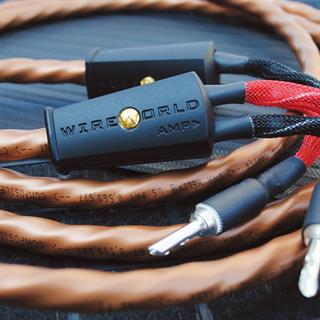 WIREWORLD  MİNİ ECLIPSE 10 Hoparlör Kablosu 