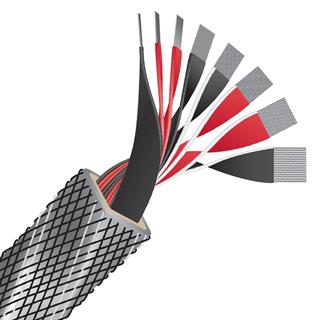 WIREWORLD PLATINUM ECLİPSE 10 Hoparlör Kablosu 