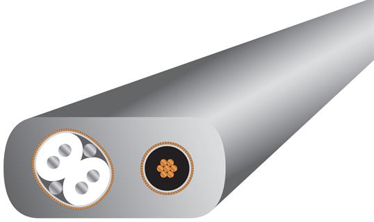 Wireworld PLATINUM STARLIGHT 7 USB A To B 2.0 Kablo 30 cm