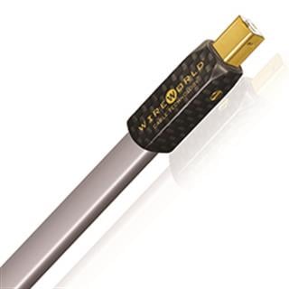 Wireworld PLATINUM STARLIGHT 7 USB A To B 2.0 Kablo  30 cm