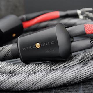 WIREWORLD SILVER ECLİPSE 10 Hoparlör Kablosu 