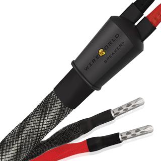 WIREWORLD SILVER ECLİPSE 10 Hoparlör Kablosu 