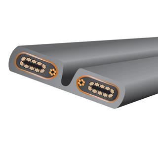 WIREWORLD Silver Electra 10 Güç Kablosu