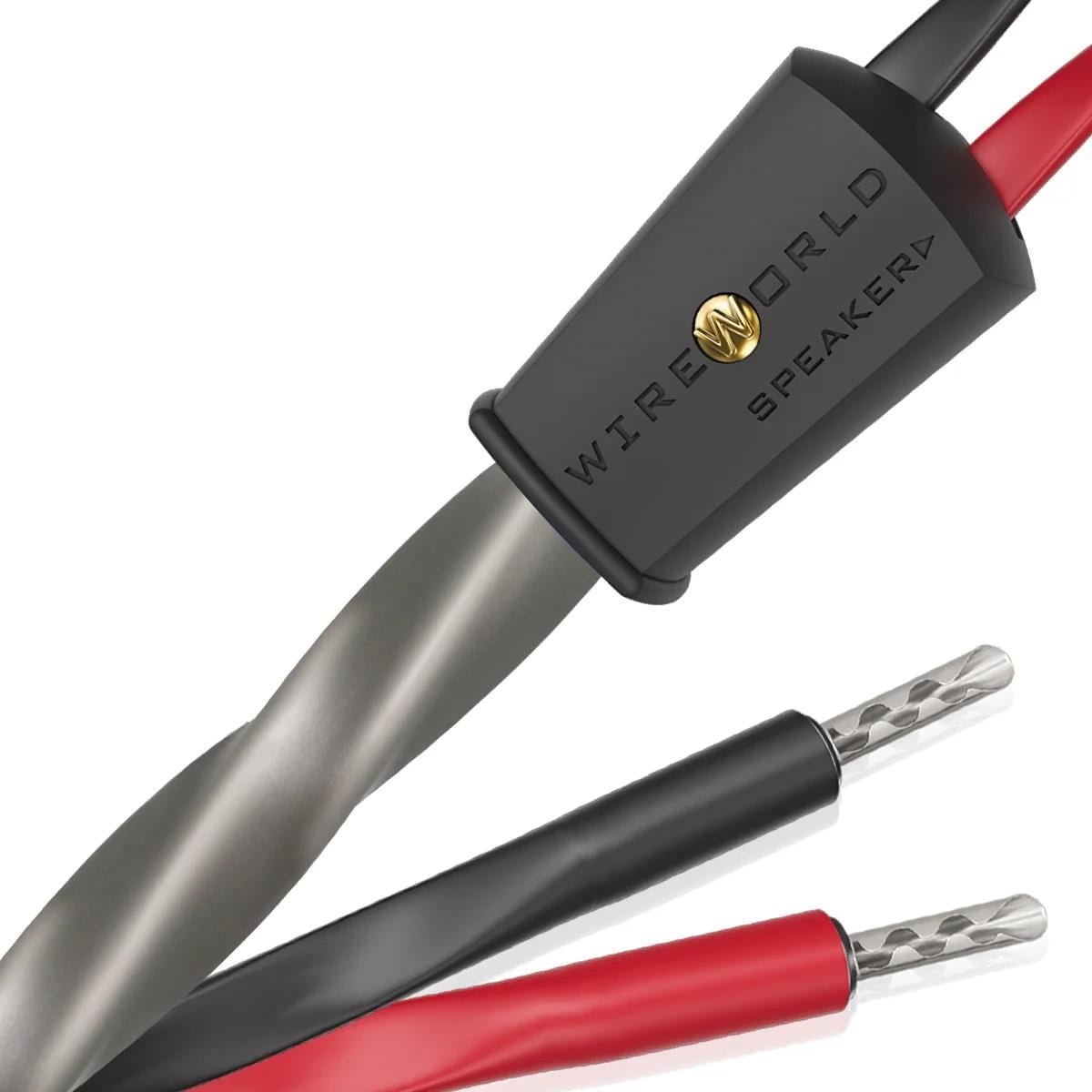 WIREWORLD  EQUINOX 10 Hoparlör Kablosu 
