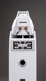 WILSON AUDIO ALEXIA V