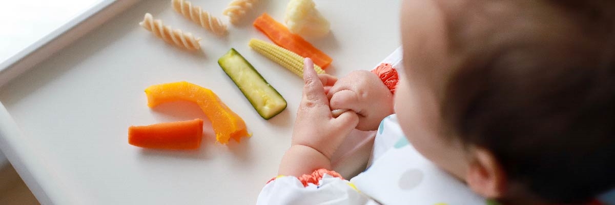 BLW (Baby Led Weaning) Nedir? Bebek Liderliğinde Beslenmeye Başlama Rehberi