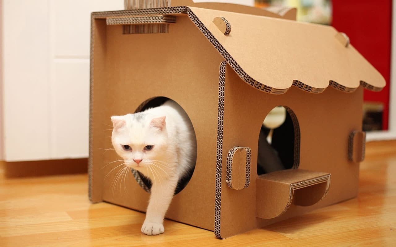 Kedi Evi Nasıl Yapılır?