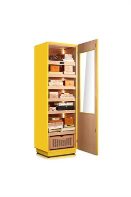 Raching Elektronik Puro Dolabı Sarı-Siyah COH275A