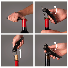 Vacu Vin Şarap Seti, Premium (4 Parça), Hediye Kutulu