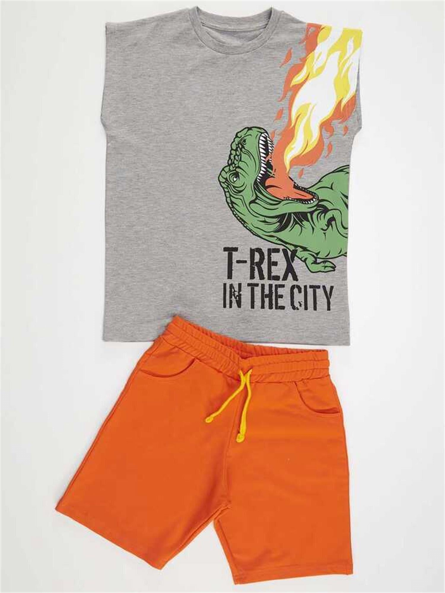 Denokids Erkek Çocuk T-rex Alev T-shirt Şort Takım MS-22Y1-030