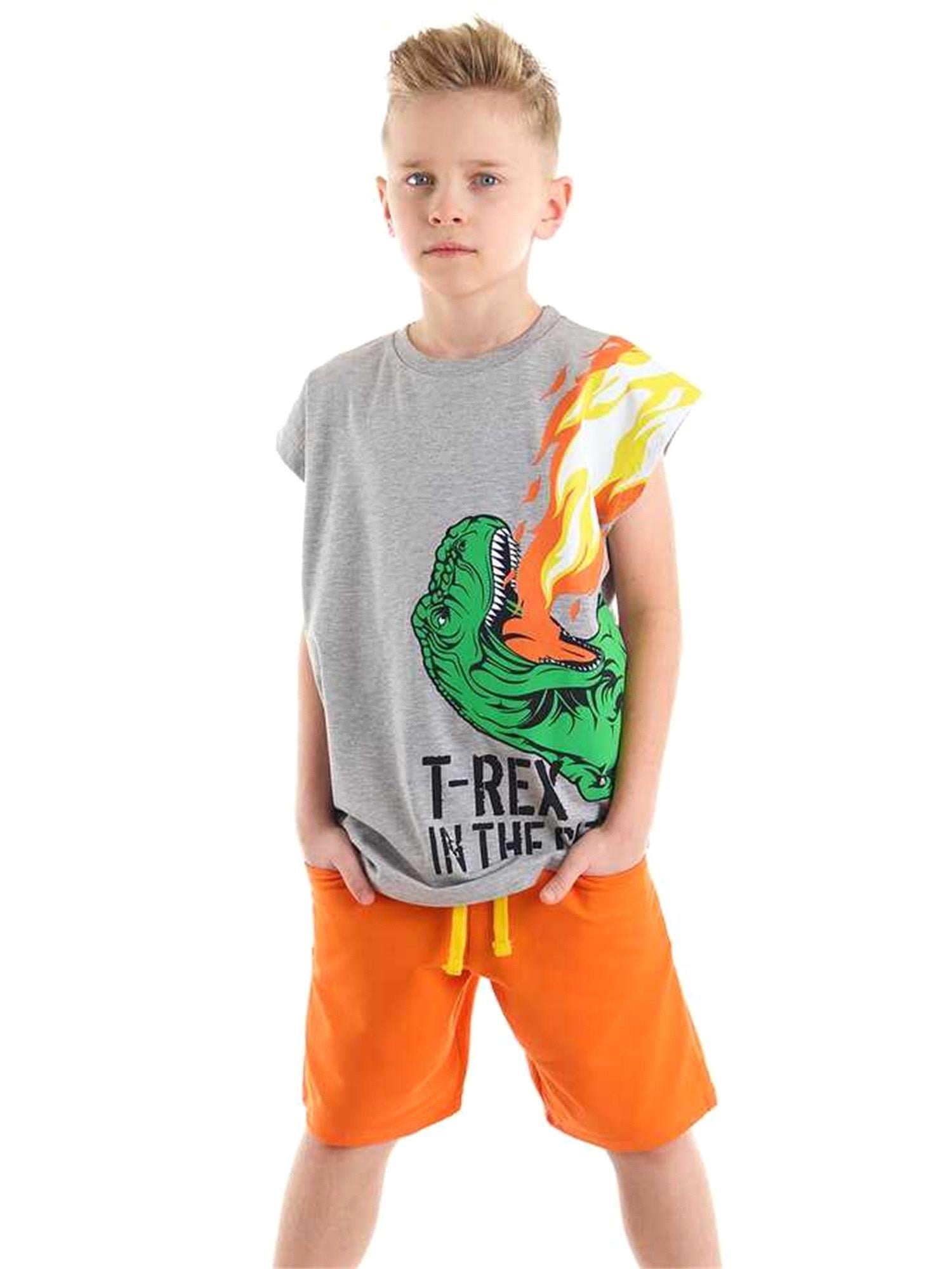 Denokids Erkek Çocuk T-rex Alev T-shirt Şort Takım MS-22Y1-030