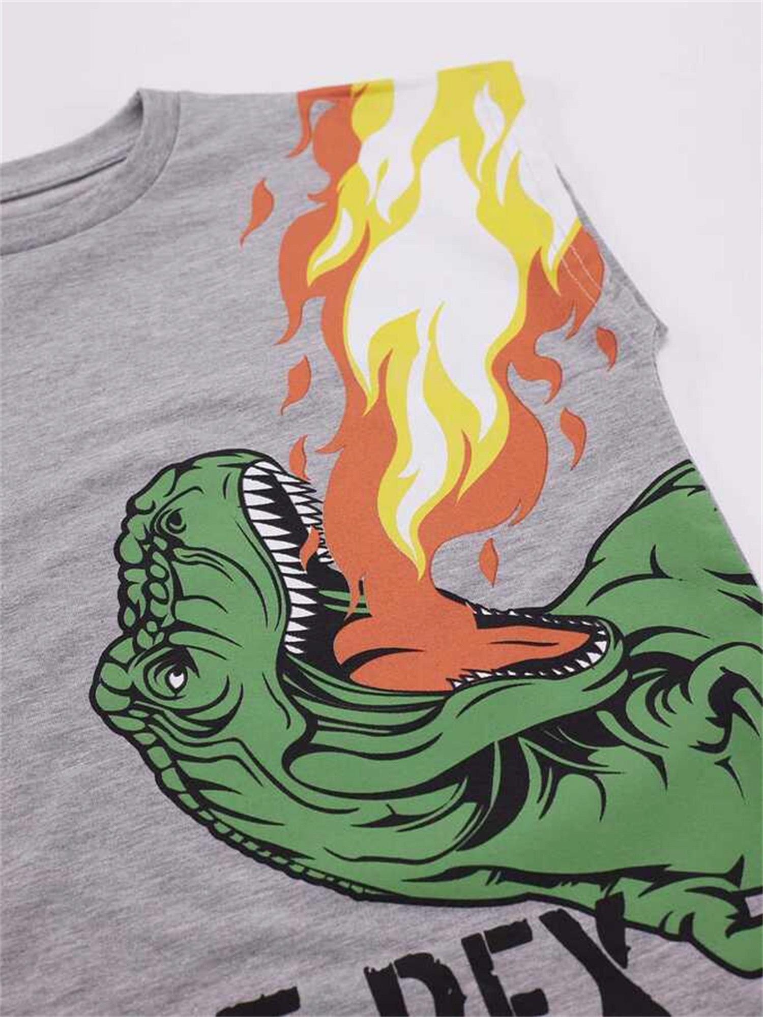 Denokids Erkek Çocuk T-rex Alev T-shirt Şort Takım MS-22Y1-030