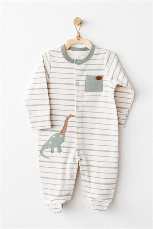 Andywawa Erkek Bebek Dinozor 20li Hastane Çıkış Seti Yeşil AC26002