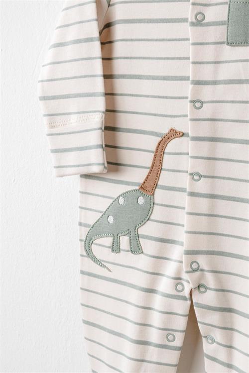 Andywawa Erkek Bebek Dinozor 20li Hastane Çıkış Seti Yeşil AC26002