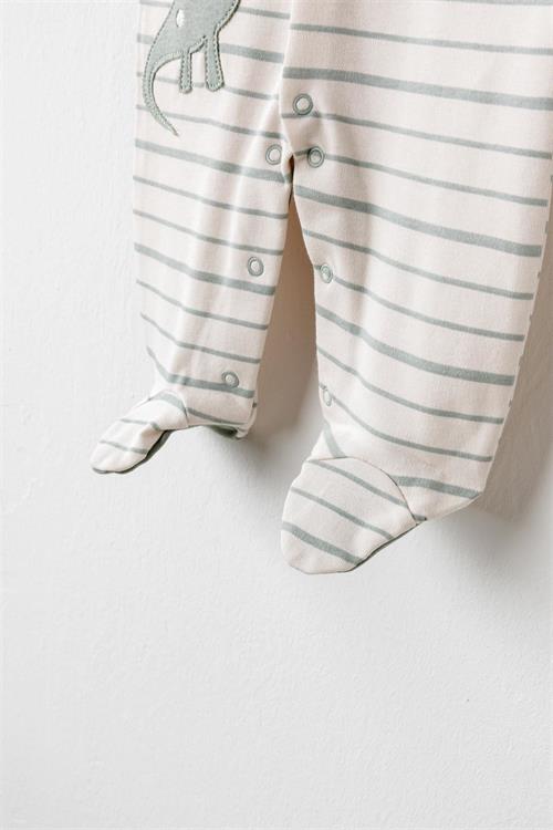 Andywawa Erkek Bebek Dinozor 20li Hastane Çıkış Seti Yeşil AC26002