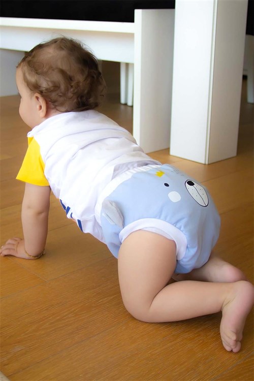 Babyjem Soft Alıştırma Külodu Mavi Art-244