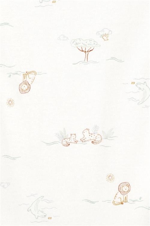 Carters Erkek Bebek Kısa Kollu 5li Body Set Renkli 1T008610