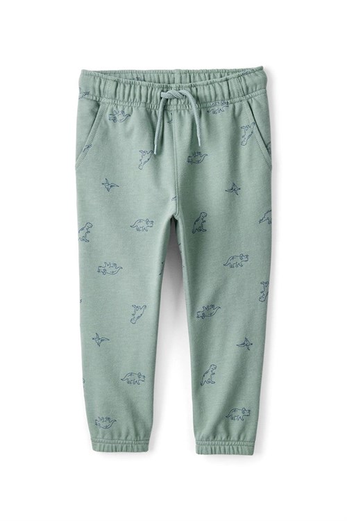 Carters Erkek Çocuk 2li Alt Üst Takım Yeşil 2T886110