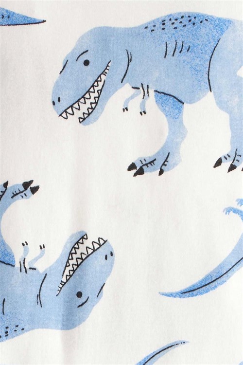 Carters Erkek Çocuk 4lü Pijama Takım Mavi 2T536110