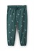 Carters Erkek Çocuk Kapüşonlu Sweatshirt Pantolon Takım Yeşil 2V951510
