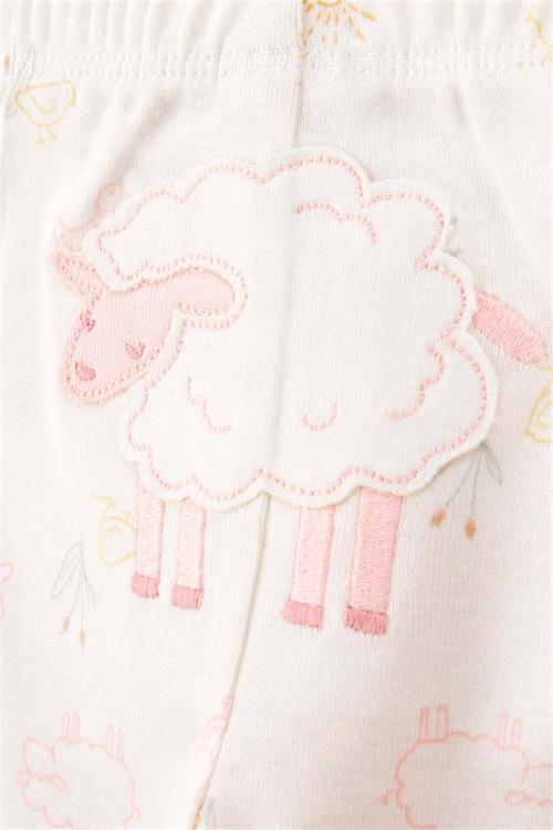 Carters Kız Bebek Desenli 3lü Takım Pembe 1T121110