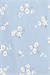 Carters Kız Bebek Layette Kısa Kollu 5li Body Set Krem 1T010810