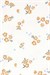Carters Kız Bebek Layette Kısa Kollu 5li Body Set Krem 1T010810