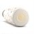 Cool Bottles The Bolttle Doggie Party Termos Matara 500 ML