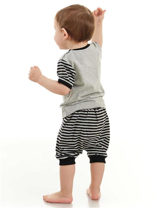 Denokids Erkek Bebek Rakun T-shirt Pantolon Takım CFF-23Y2-019