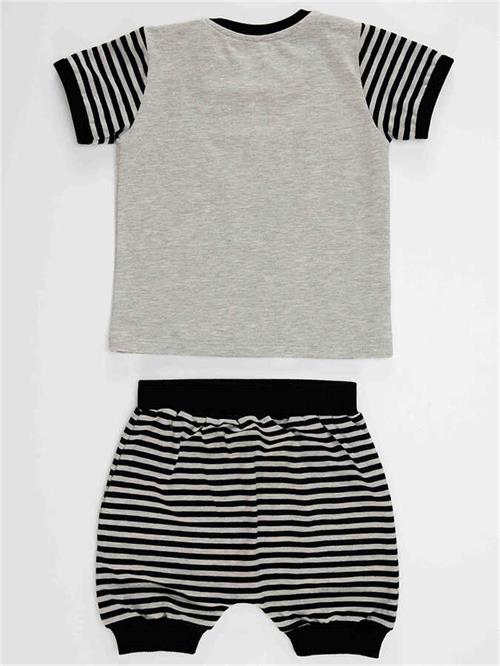 Denokids Erkek Bebek Rakun T-shirt Pantolon Takım CFF-23Y2-019