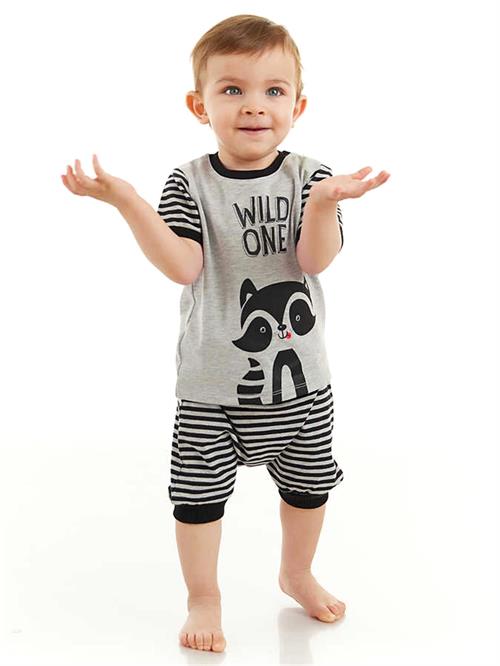 Denokids Erkek Bebek Rakun T-shirt Pantolon Takım CFF-23Y2-019