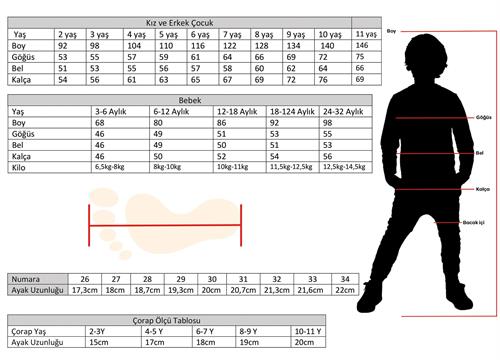 Denokids Erkek Çocuk Dinozor Deniz Şortu Mayo Lacivert CFF-23Y2-007