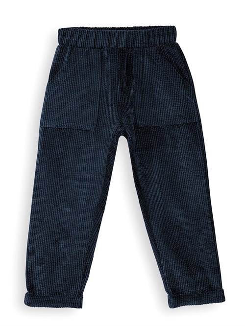 Denokids Erkek Çocuk Fitilli Kadife Pantolon Lacivert CFF-25S1-049