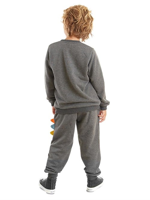 Denokids Erkek Çocuk Rawr Tırtırlı Eşofman Altı Takım Gri CFF-23S1-061
