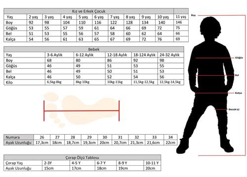 Denokids Erkek Çocuk Shark Şort Mayo CFF-23Y2-009