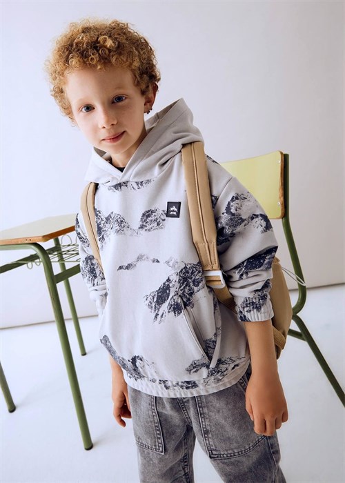 Mayoral Erkek Çocuk Baskılı Kapüşonlu Sweatshirt Gri 4403
