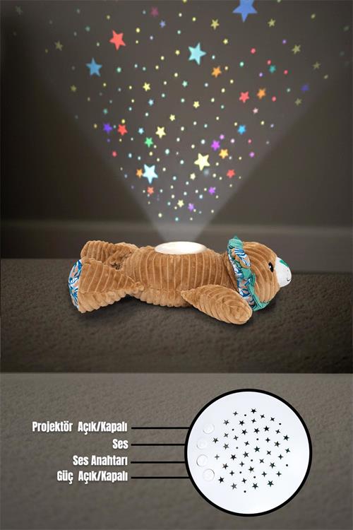 Prego Müzikli ve Gece Işıklı Aslan P210605